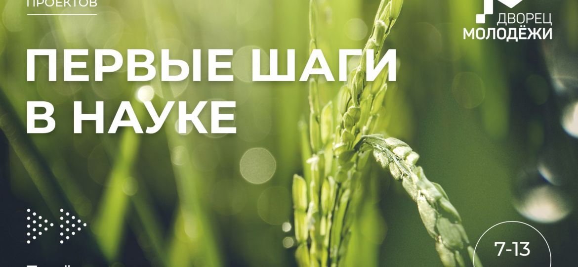 первые шаги