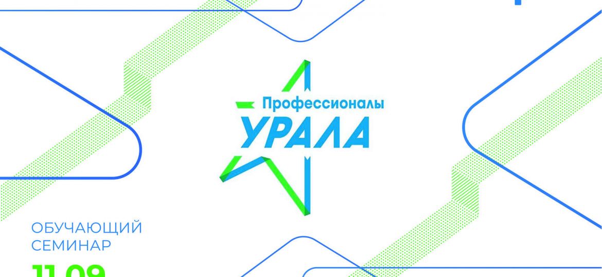 профессионалы