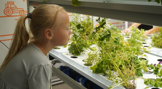 photo-1496307042754-b4aa456c4a2d