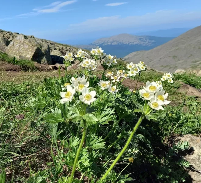 Щербакова Лиза_Нежность в объятиях вечности Ирбит_