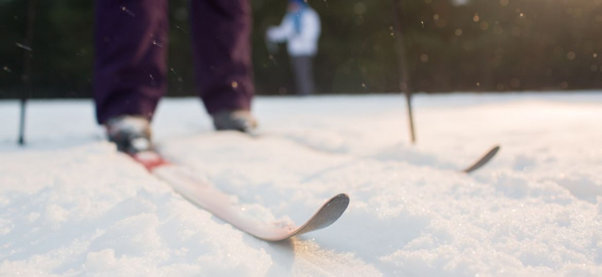 зимние виды