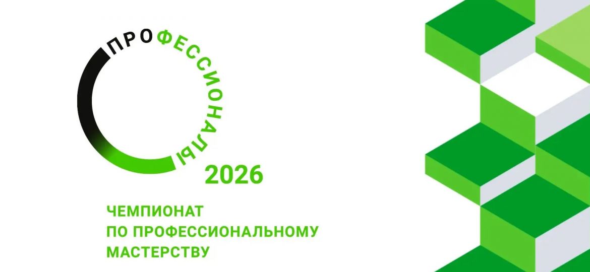 профессионалы