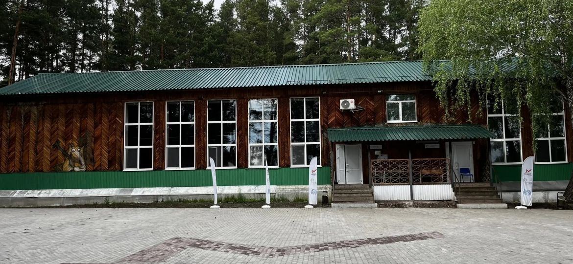 дружба